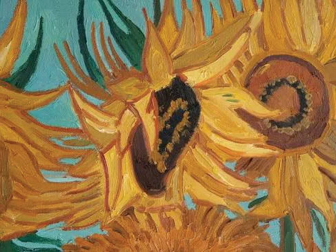 Detail of sunflower heads painted by Vincent van Gogh