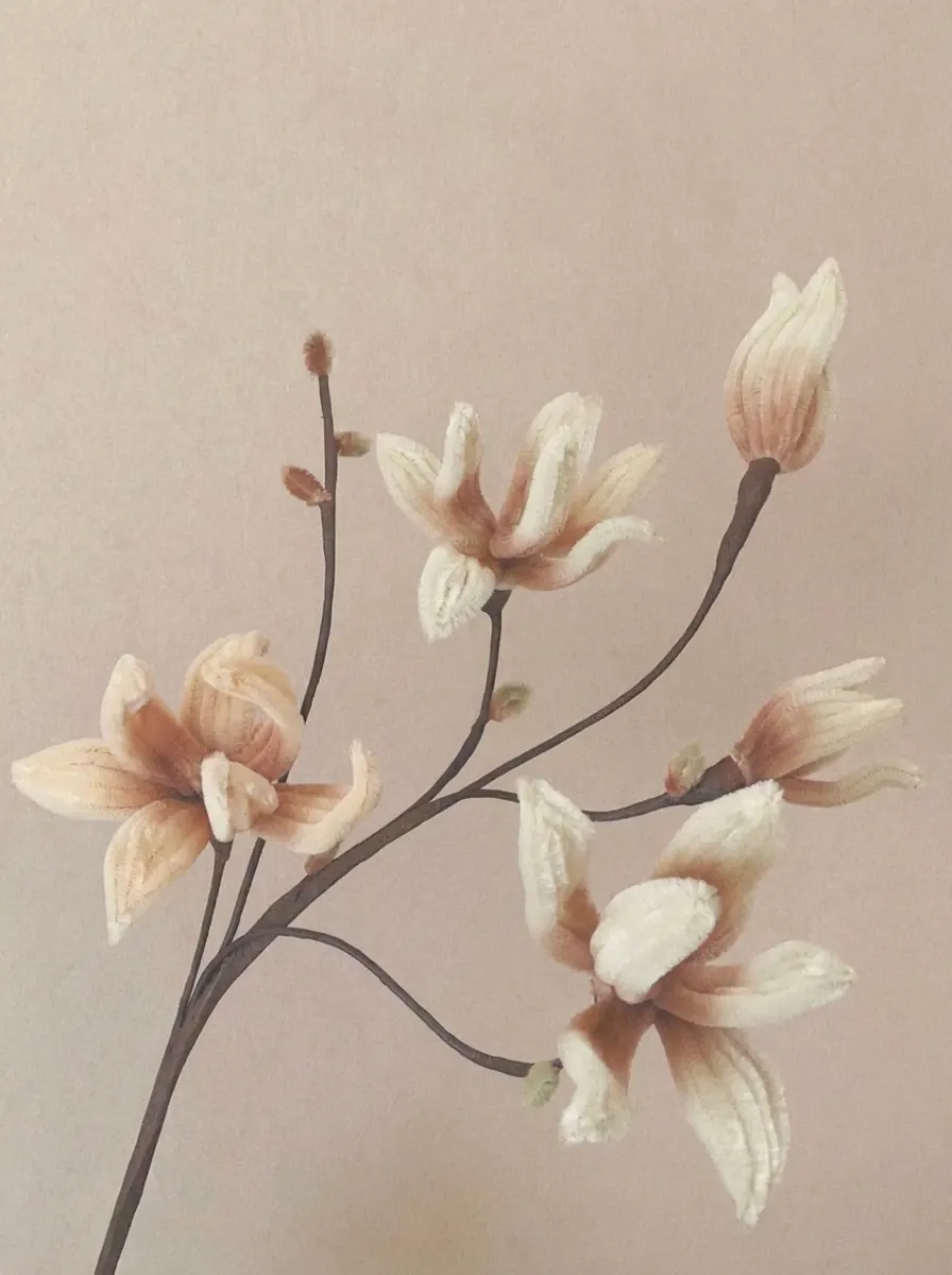 A branch of ivory magnolia against a warm, plain wall
